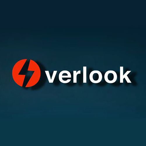 Overlook Consulting Group